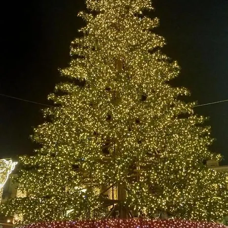 Le Perle Della Costiera Penzion 4*