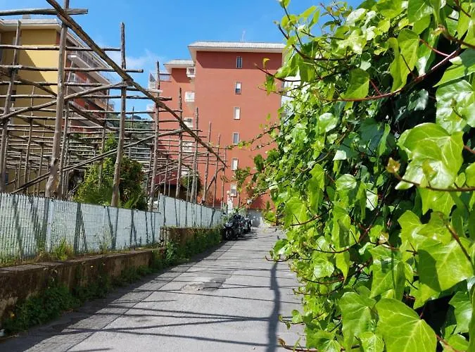 Casa de hóspedes Le Perle Della Costiera